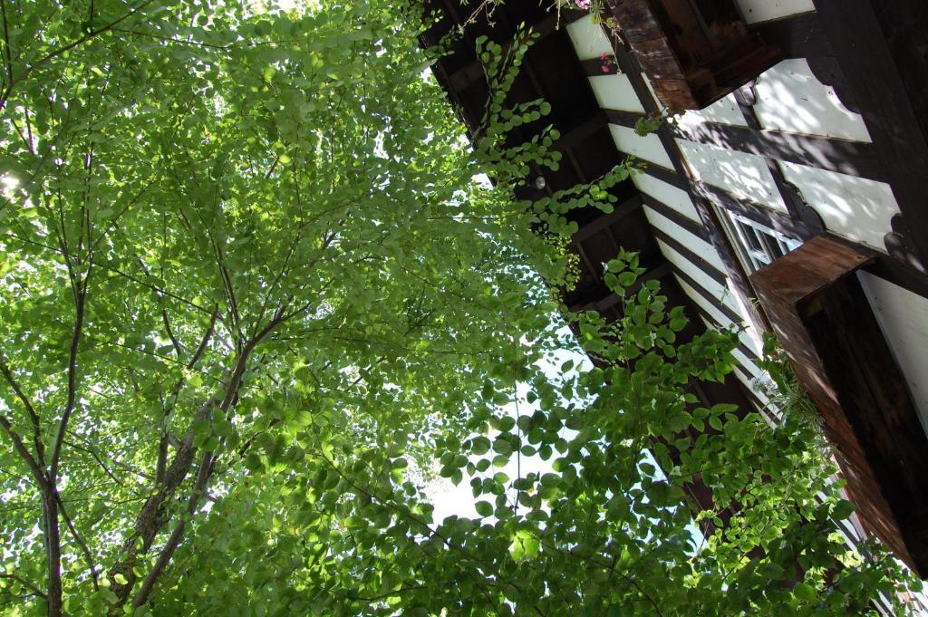 Petit Hotel Alumu Matsumoto Dış mekan fotoğraf
